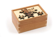 Free Me 8 - The Reptile Puzzle Box