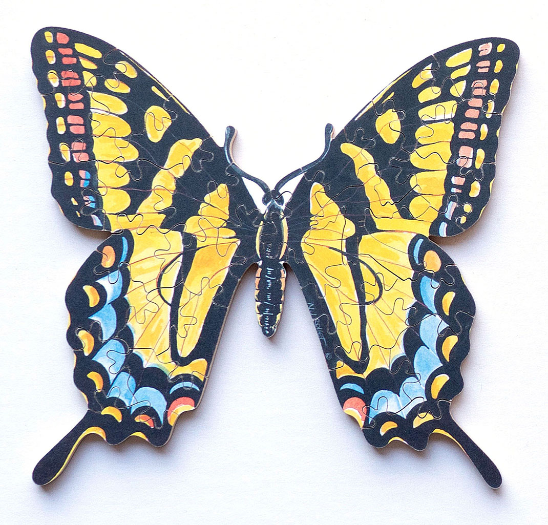 Eastern Swallowtail Butterfly