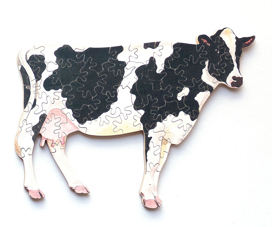 Holstein Cow